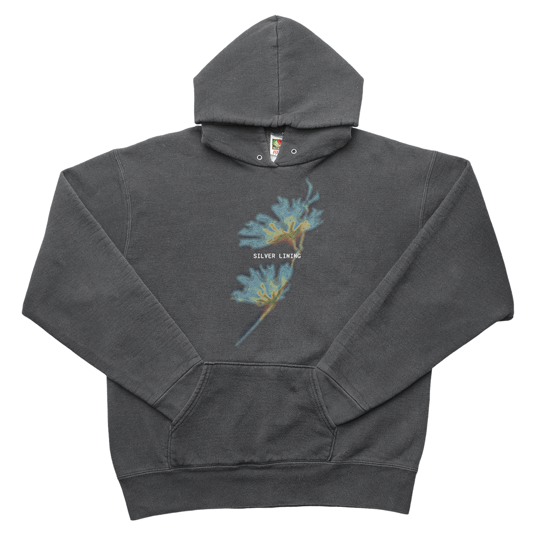 Silver Lining Hoodie